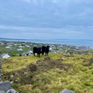 Sustainable Galway Itinerary